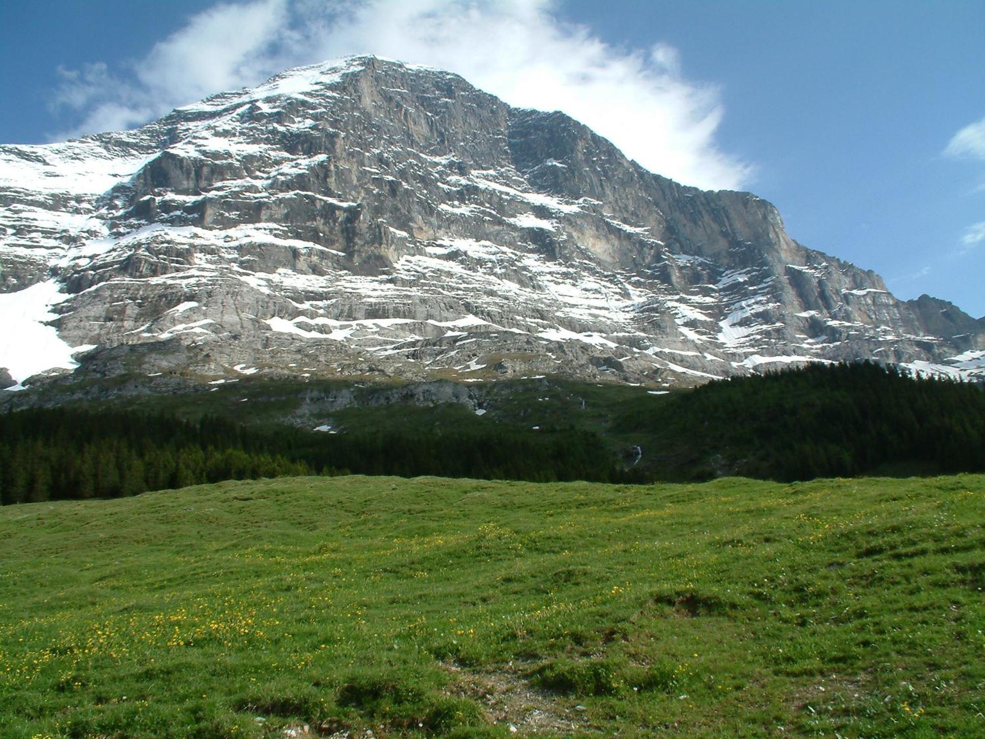 Chalet Schwendiboden Grindelwald Exterior foto